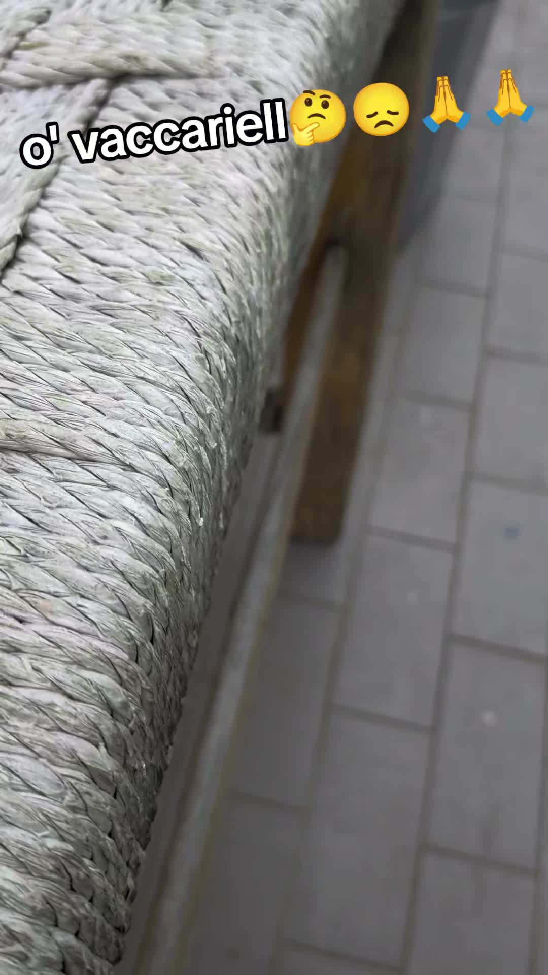 @DiegoVibes
