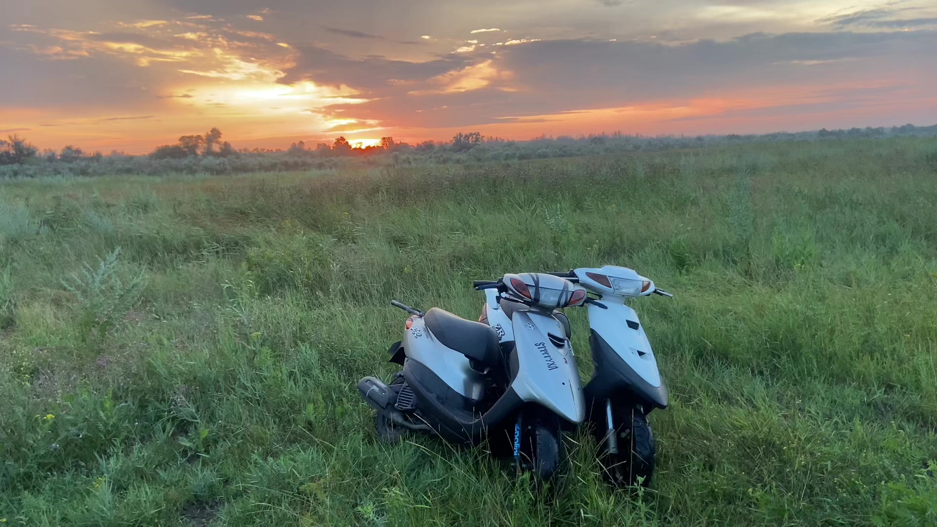 @fzmdimka