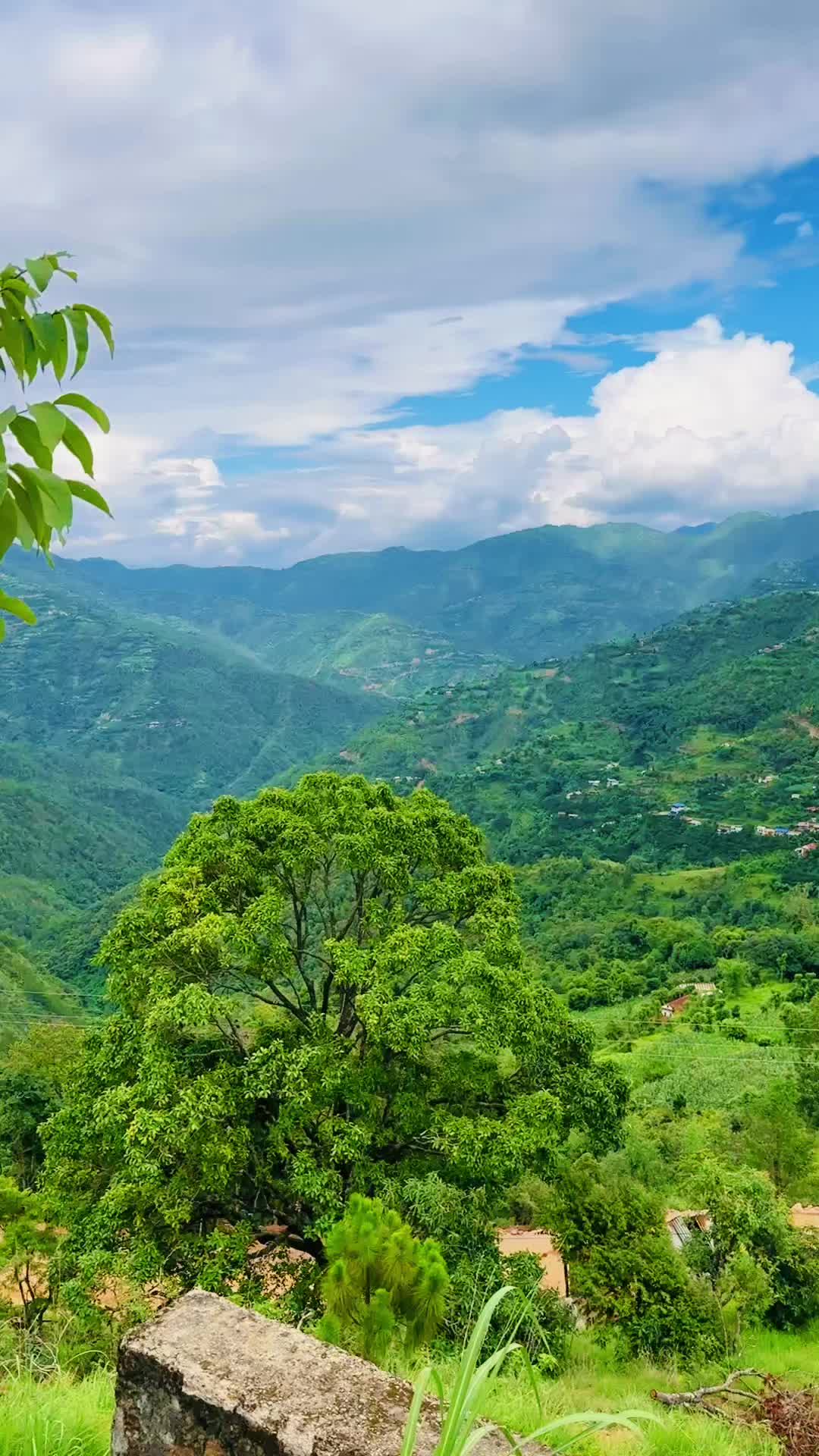 @Manish Adhikari