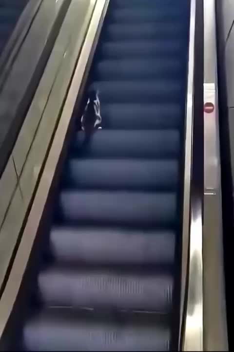 @Funny