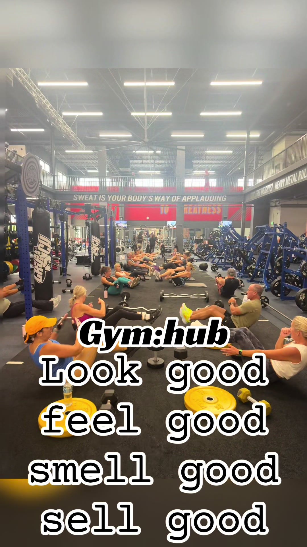 @Gymhub official