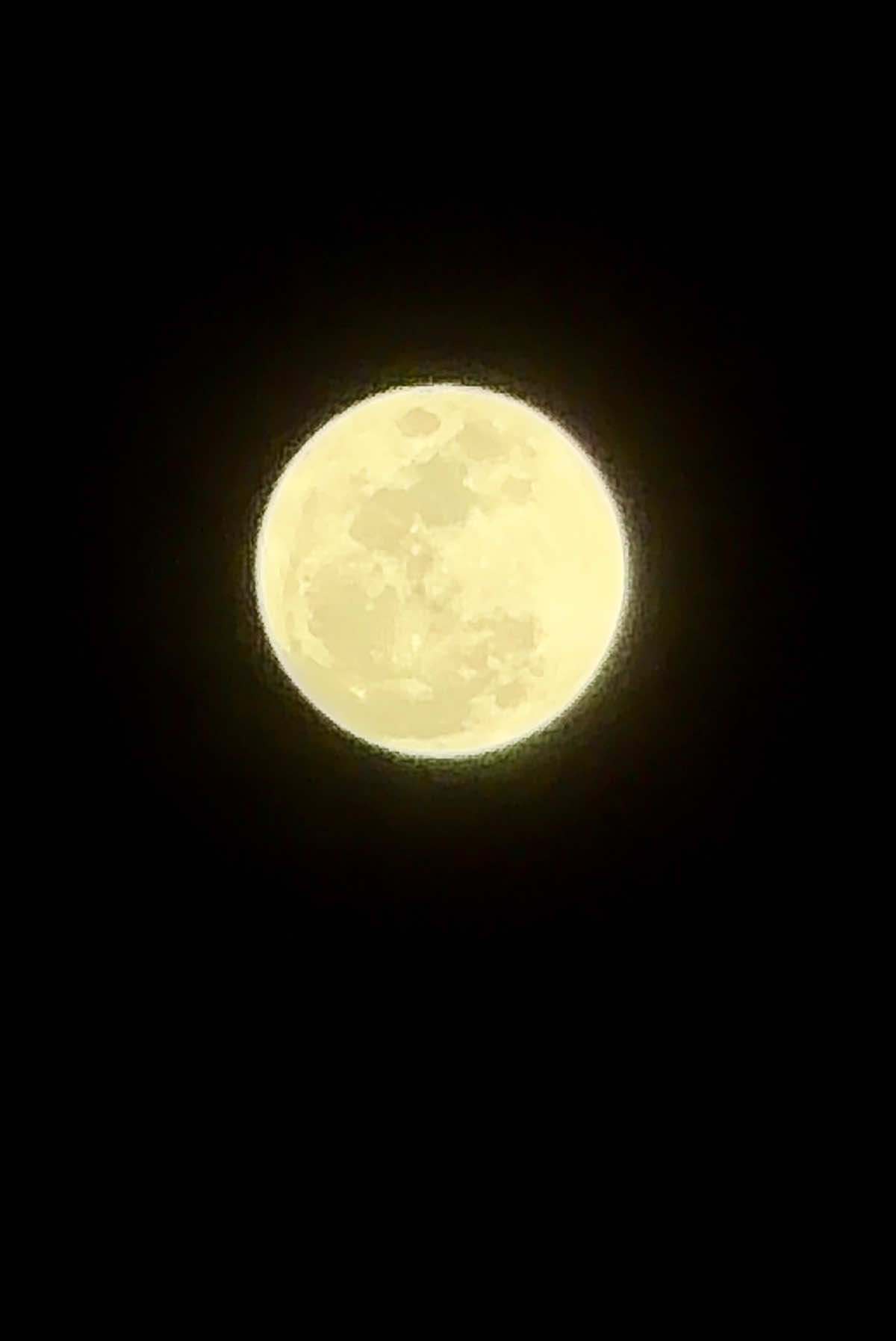 @lyz.1026