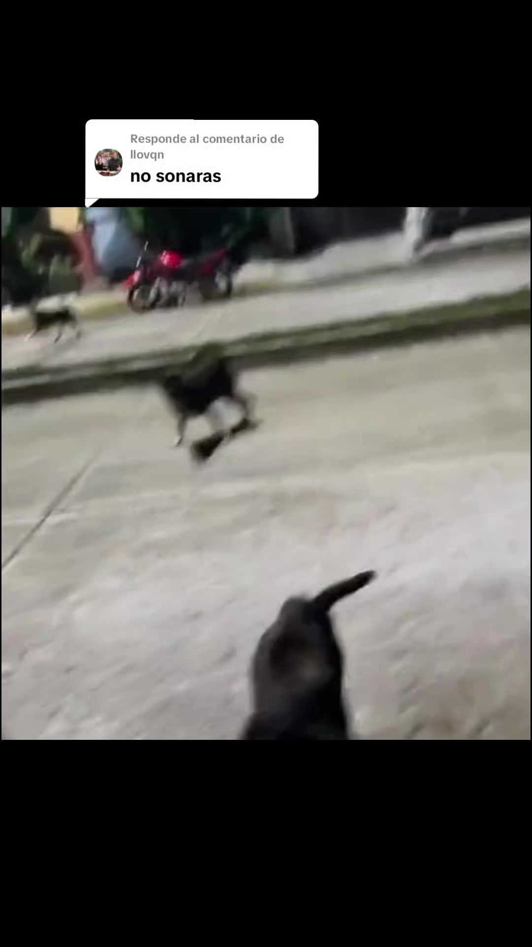 @๐๐ข๐ ๐๐ซ๐๐ฏ๐ข