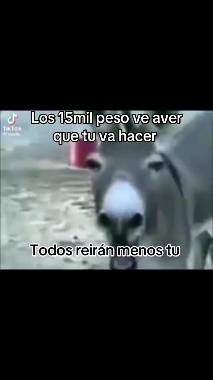 @De Reyes🥰🥰🥰