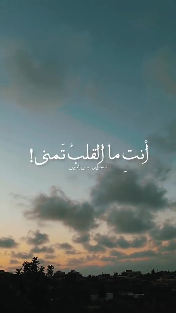 @نَبض العَرين 🔻