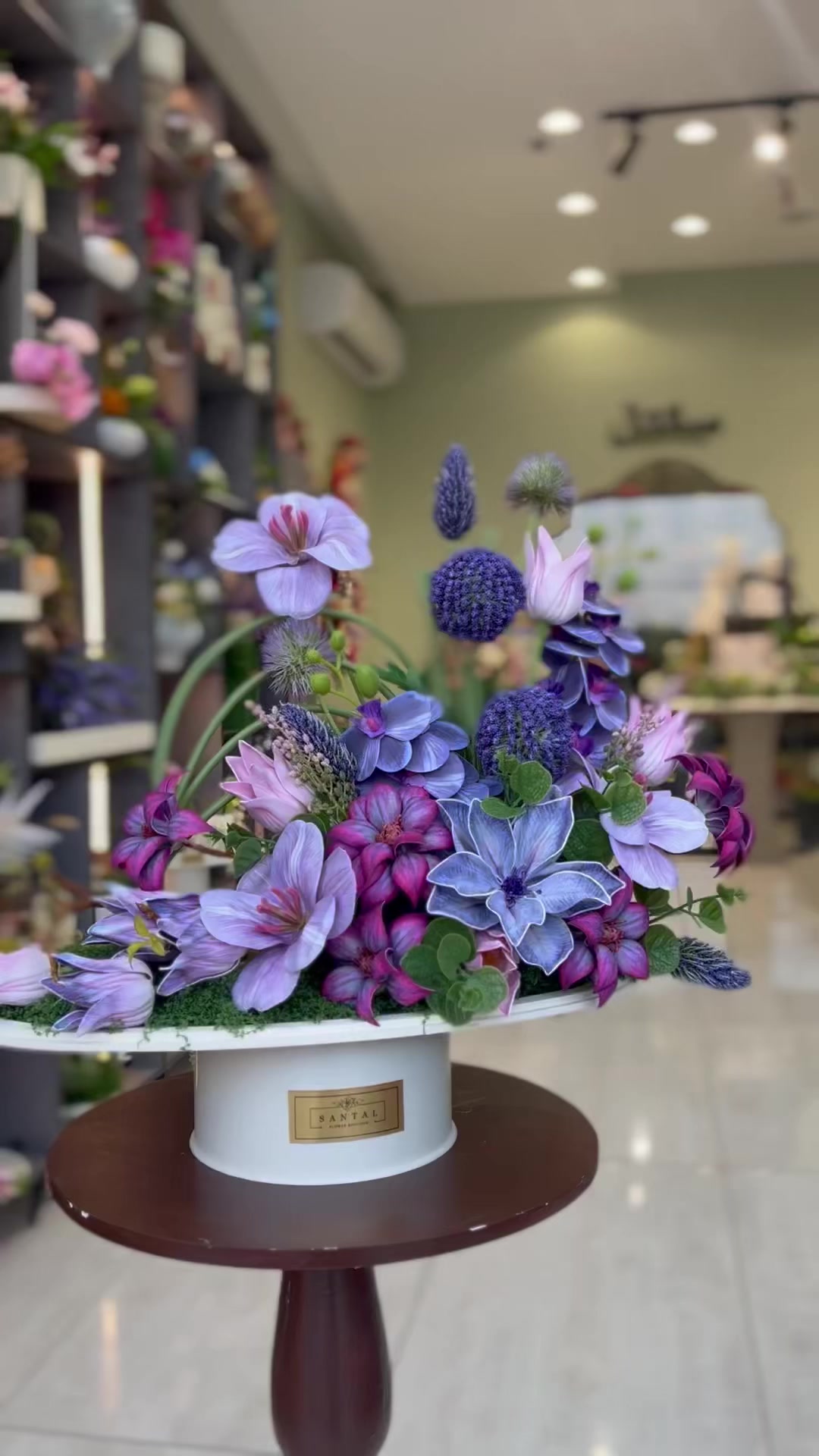 @SANTAL | سانتال