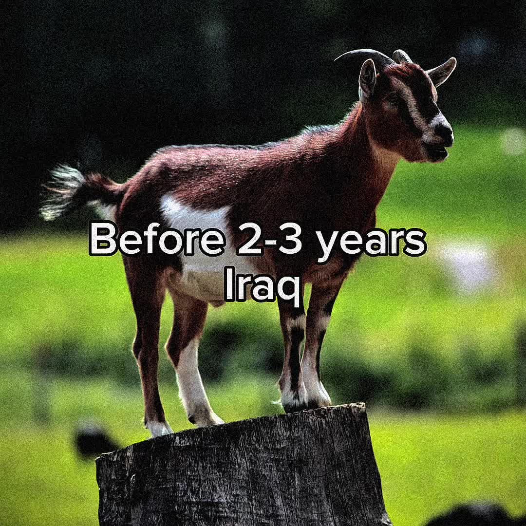 @SkibdiMERABfan911🇺🇸🇮🇶