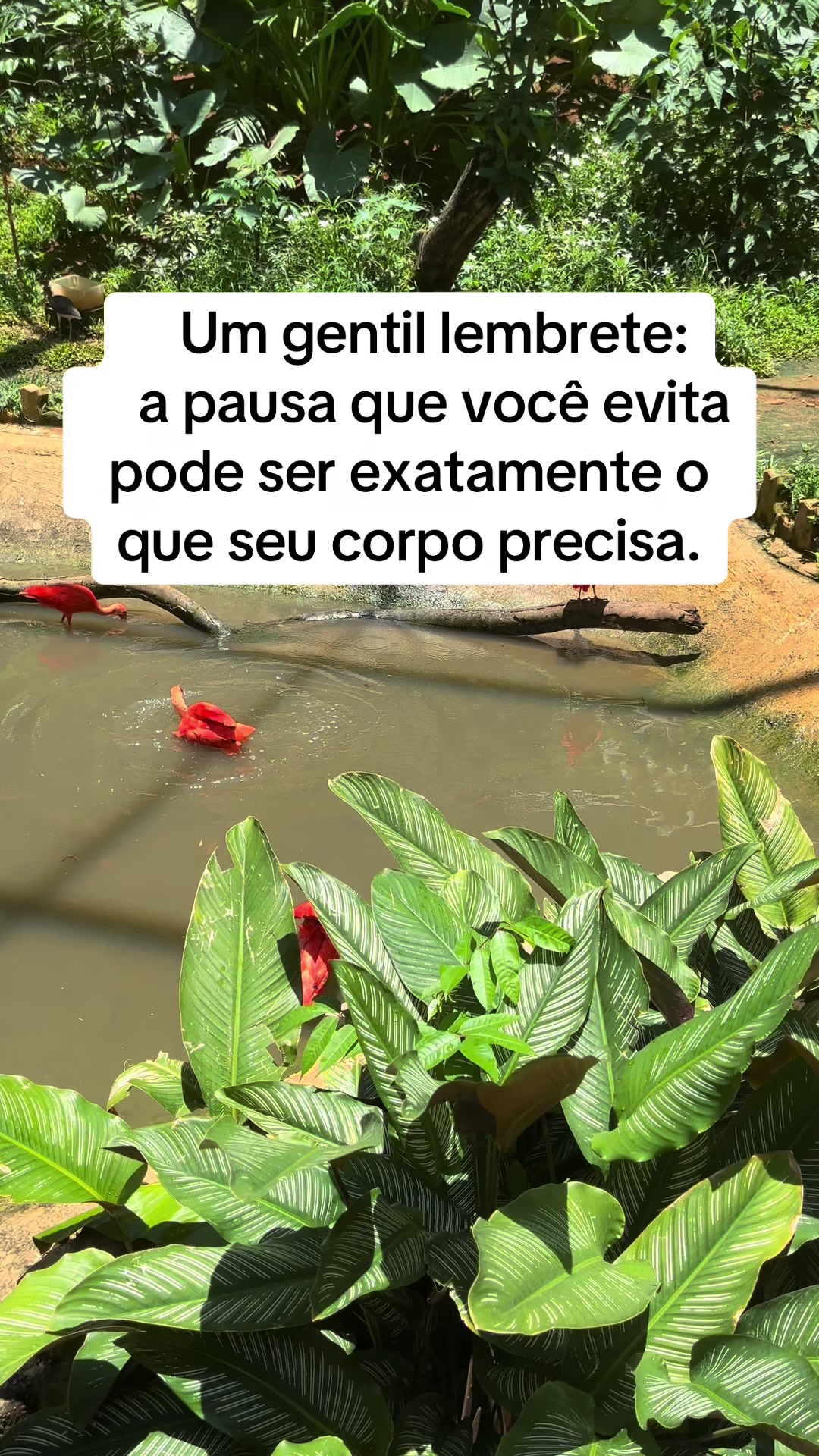 @Vanessa E. Santos | Terapeuta