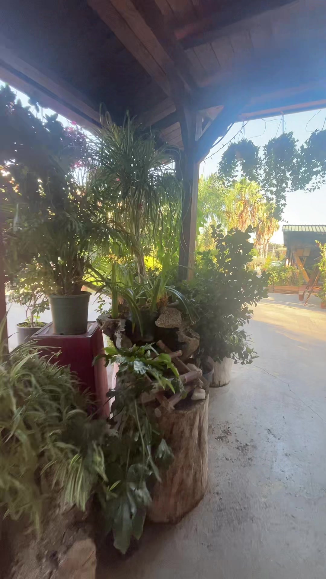 @vivaioanticogarden