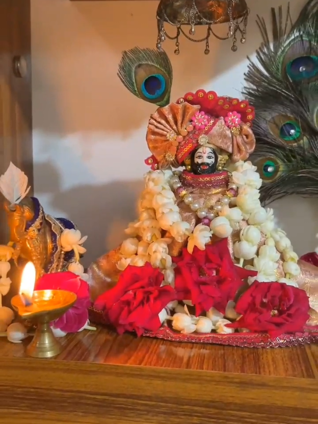 @shree shyam premi🫶🚩🕉️✨