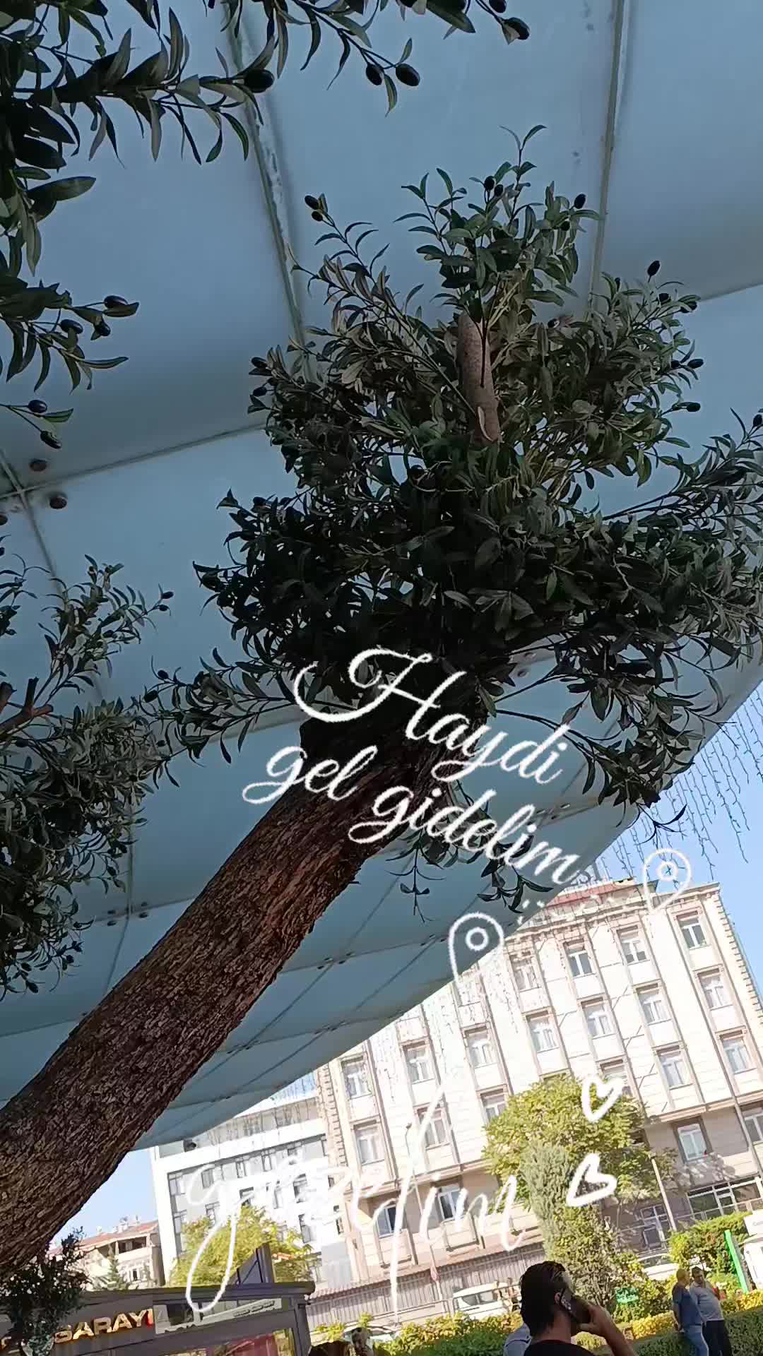 @1sen