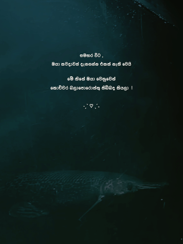 @𝑺𝒉𝒂𝒏𝒊 𝒃𝒆𝒂𝒓 💭