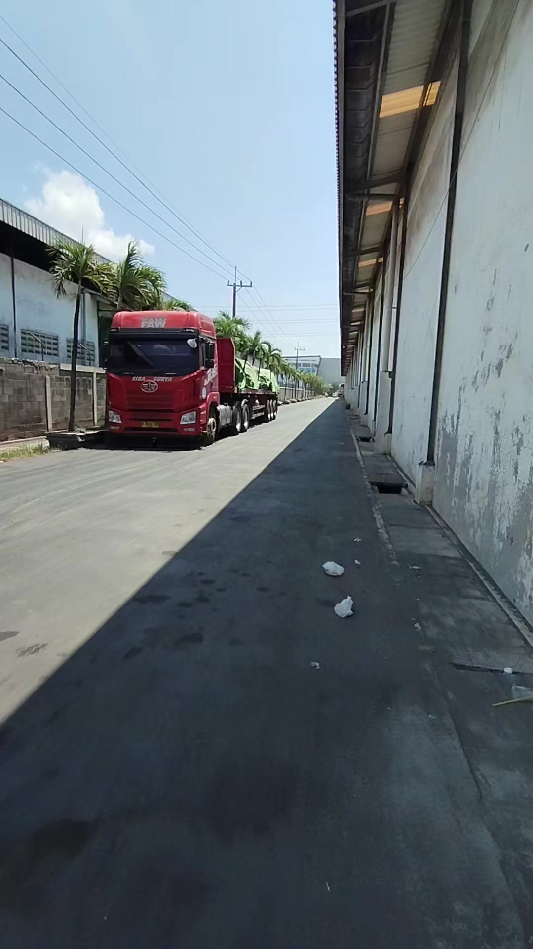 @El Bichoz