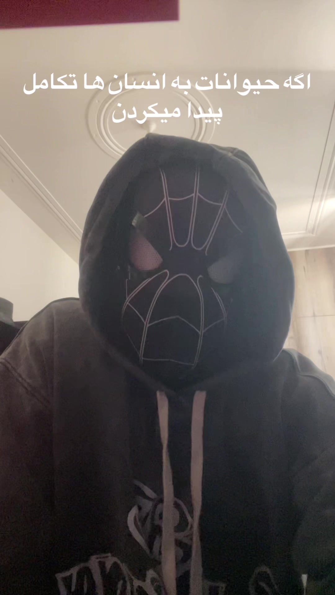 @erspiderman🕷️