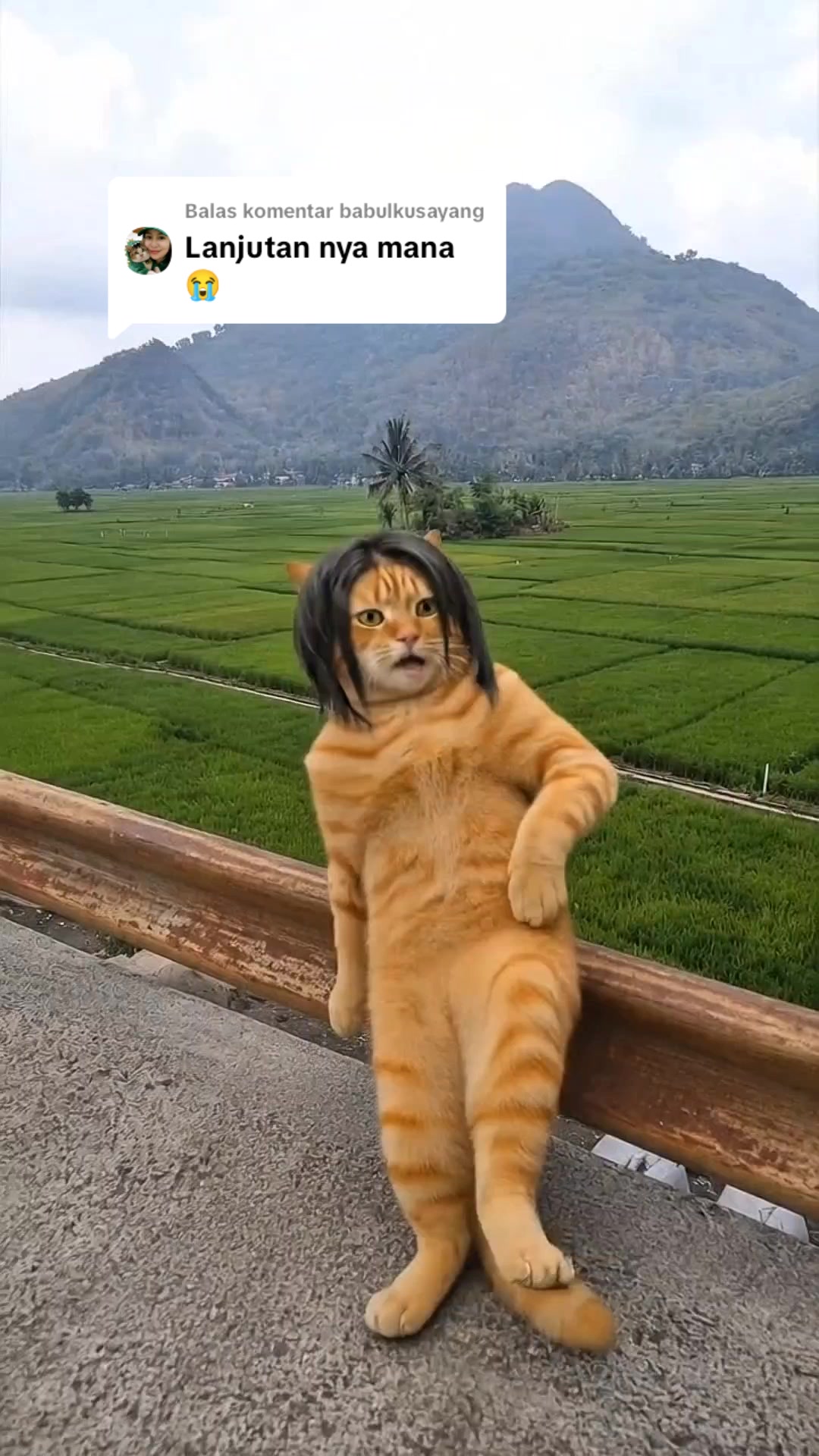 @Anibanis