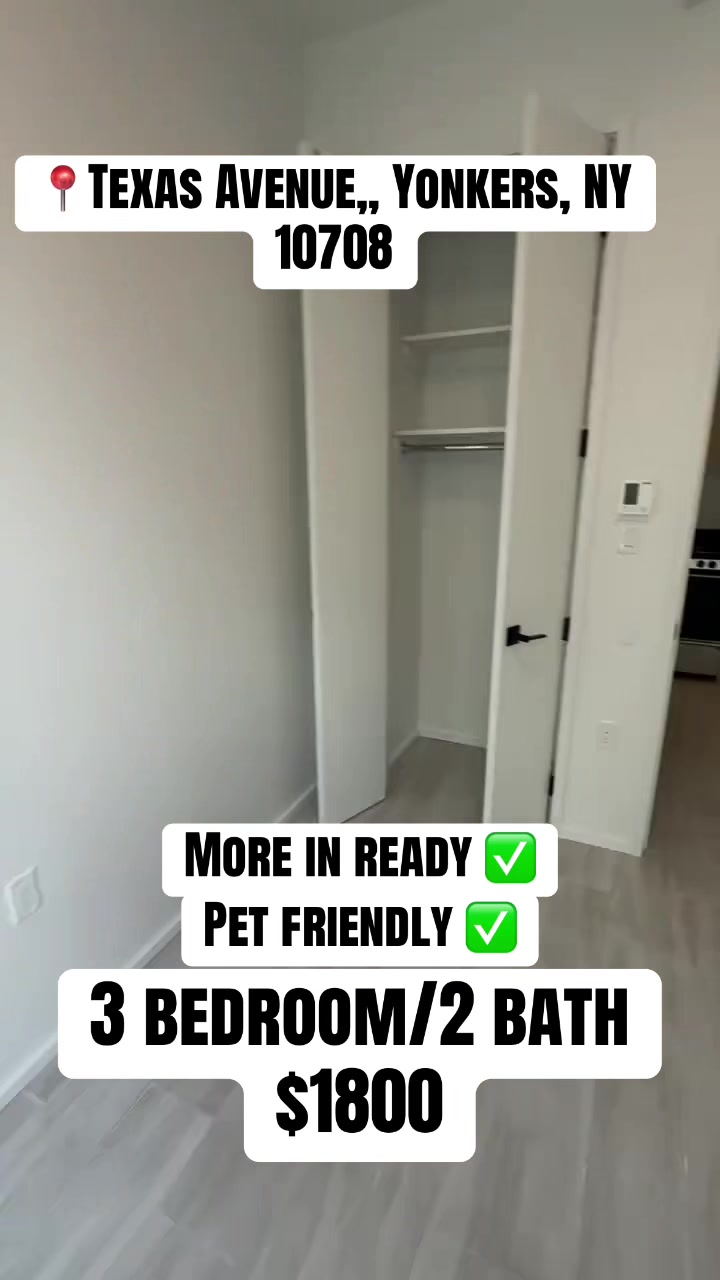 @Daily Rental Finds