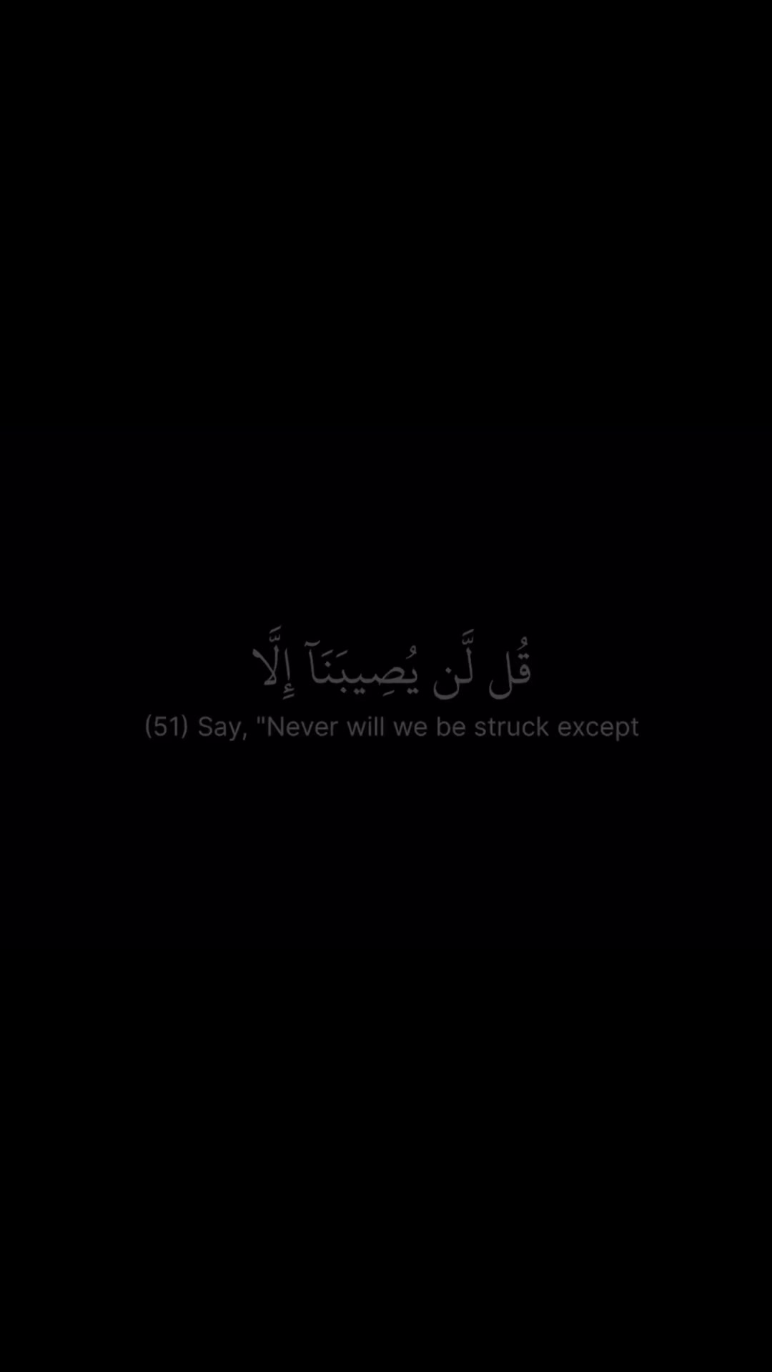 @Quran reciters
