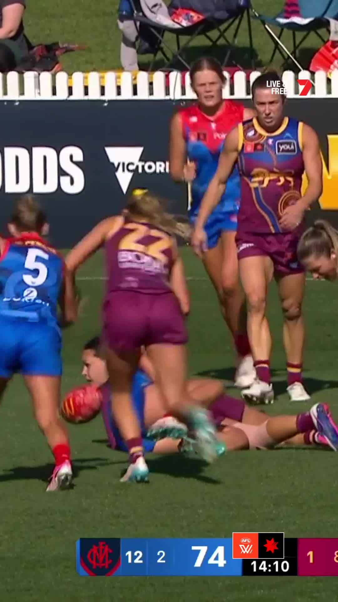 @Brisbane Lions 🦁