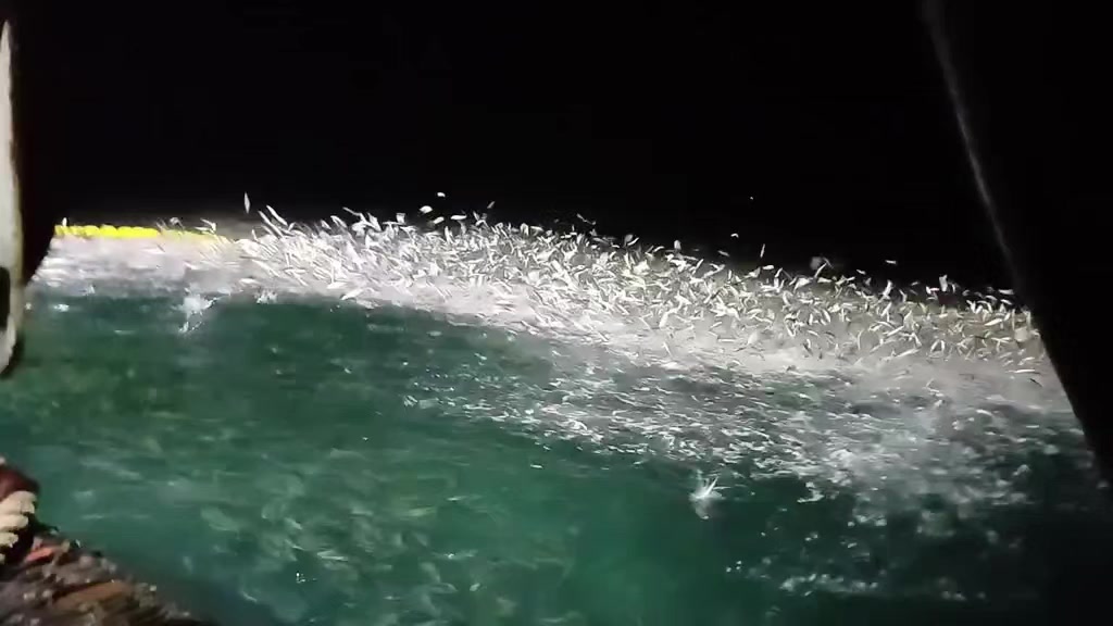 @🛳️hàmìdø⚓⚡Ræysë🐬🏴☠️