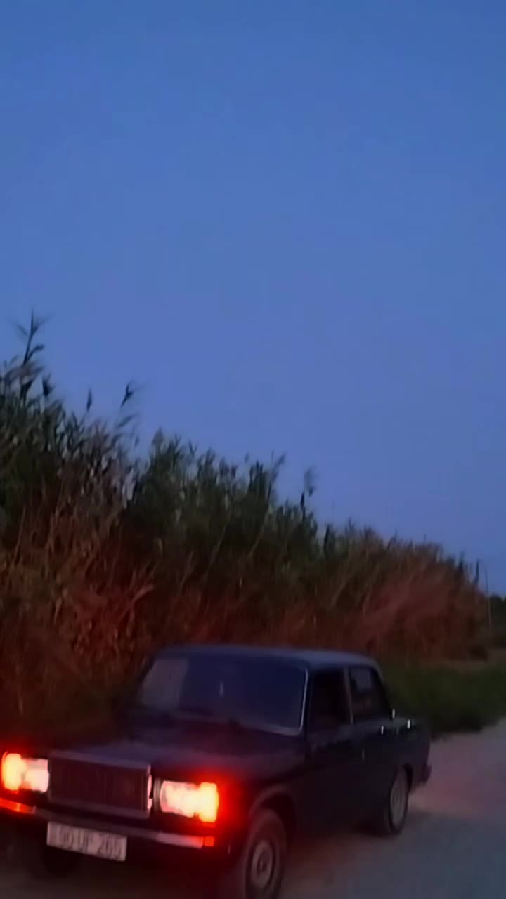 @Şamxal265