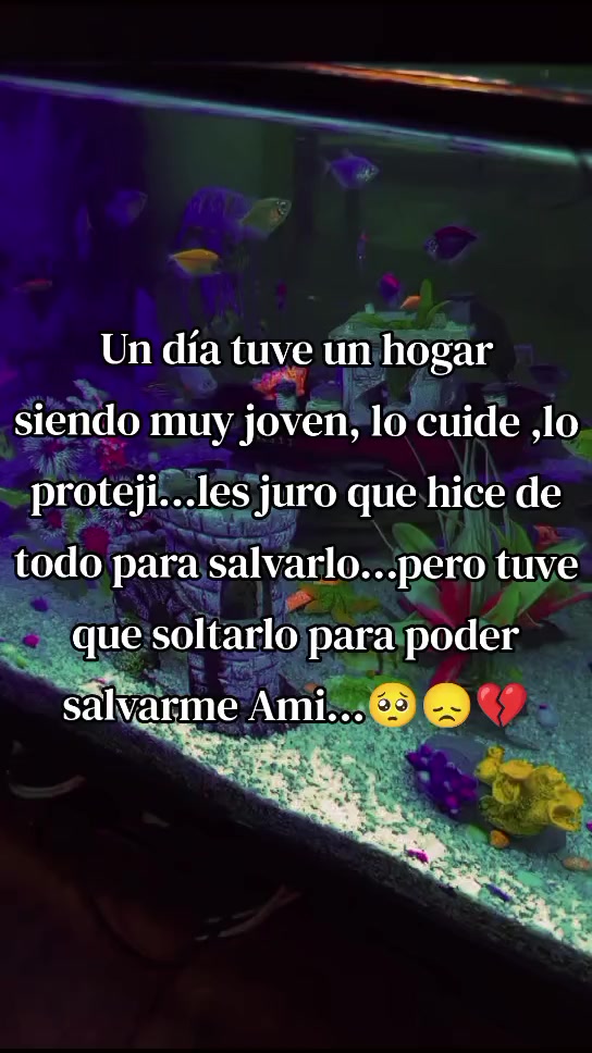 @ZhariithMariaLopez