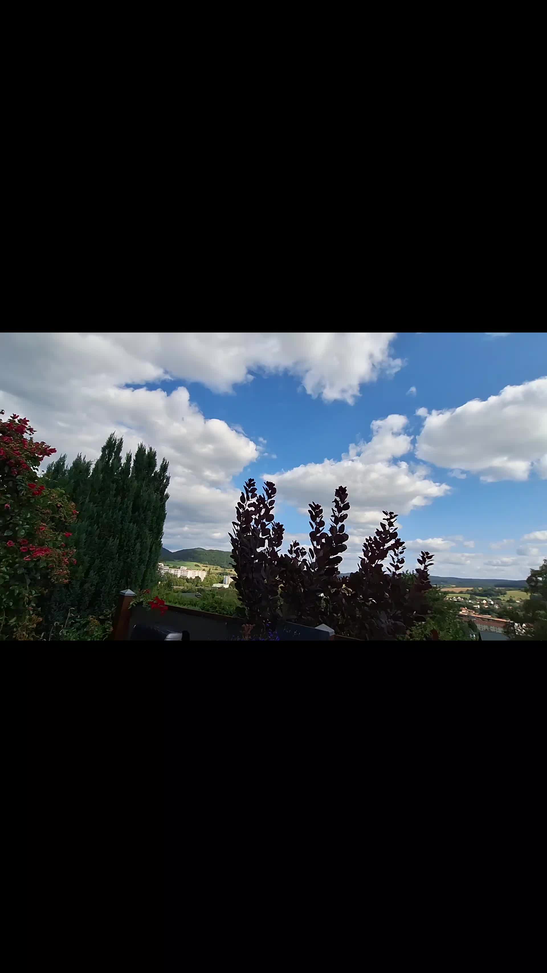 @Susi & der Dosen&ouml;ffner 🤔🤣