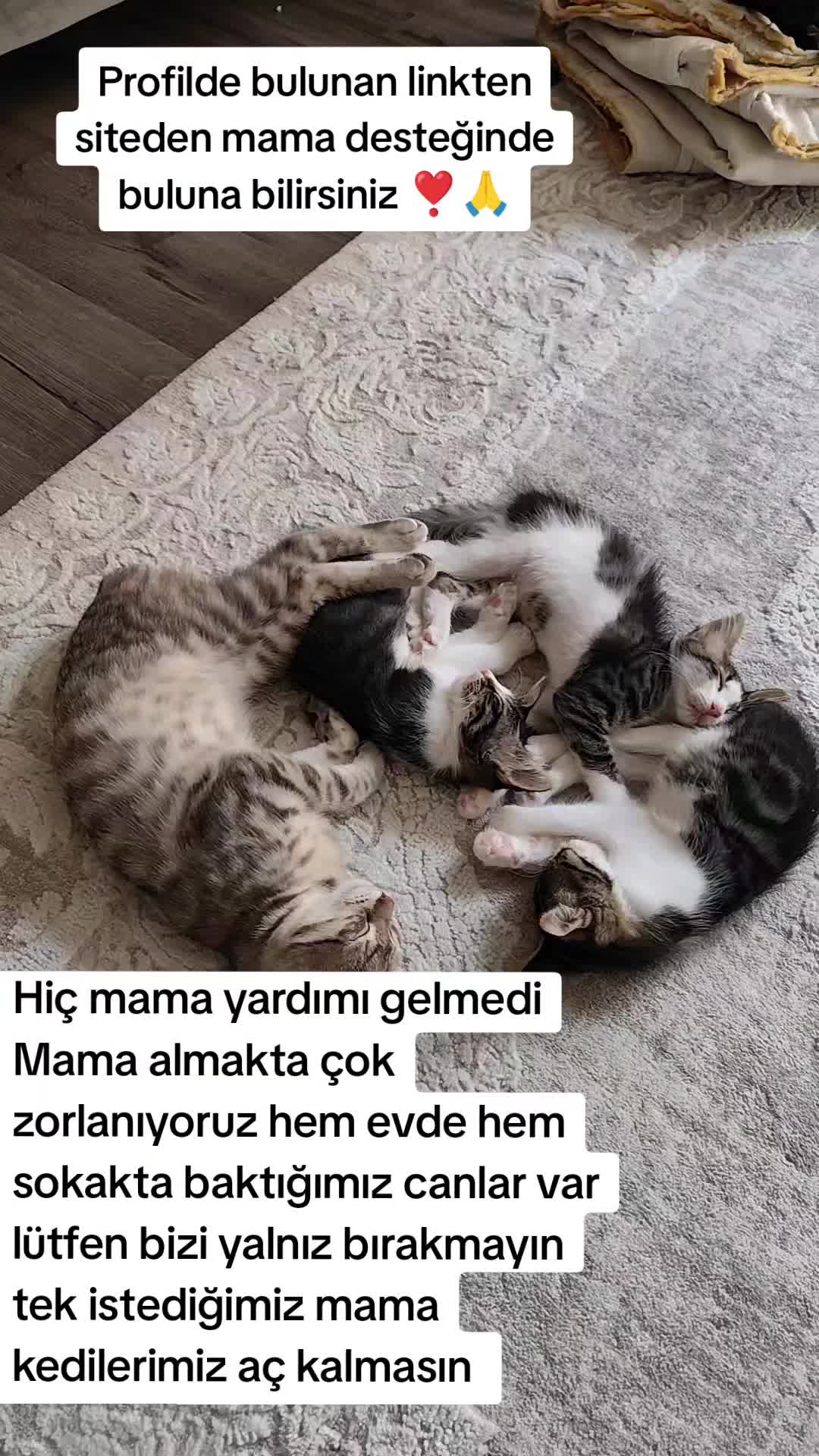 @@kedisizevolmaz