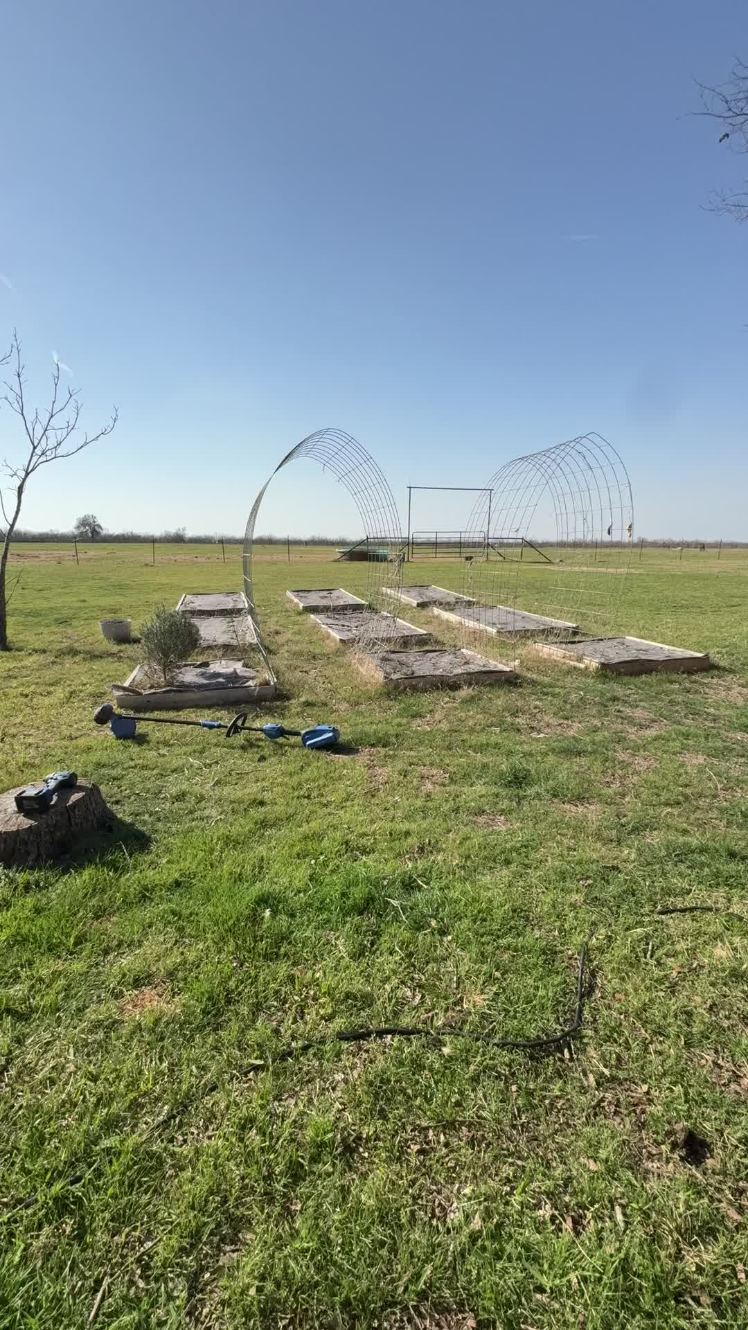 @Brewer Farms TX