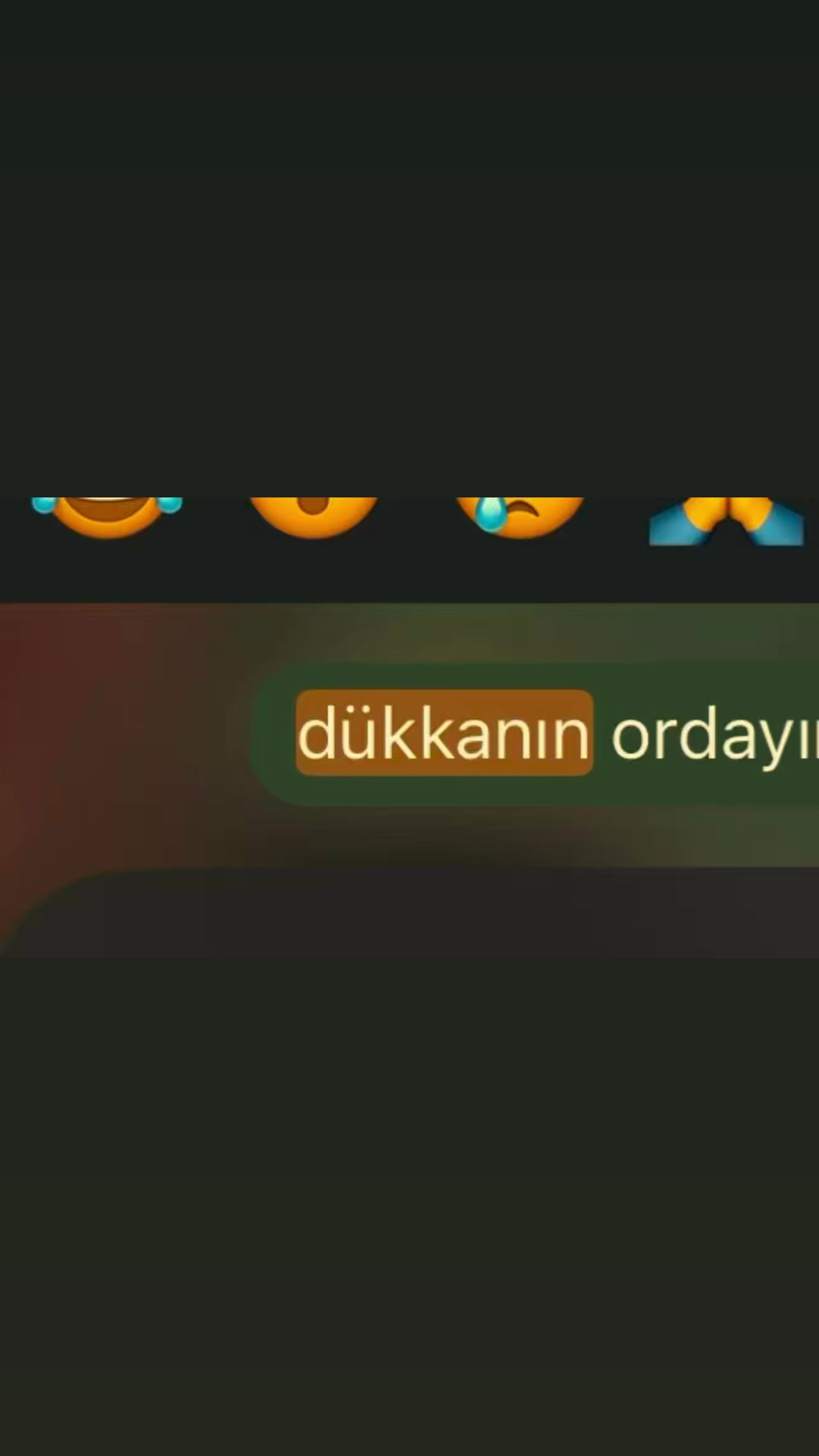 @Selin Bolatcan