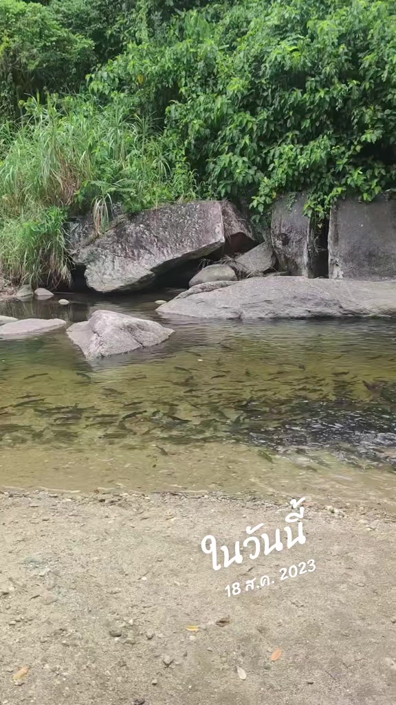 @I'Dear...ที่แปลว่าที่รัก