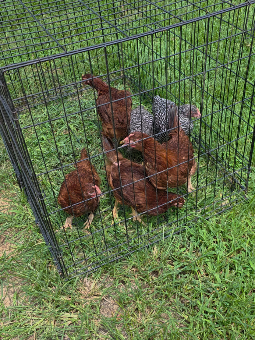 @JMFARMS123