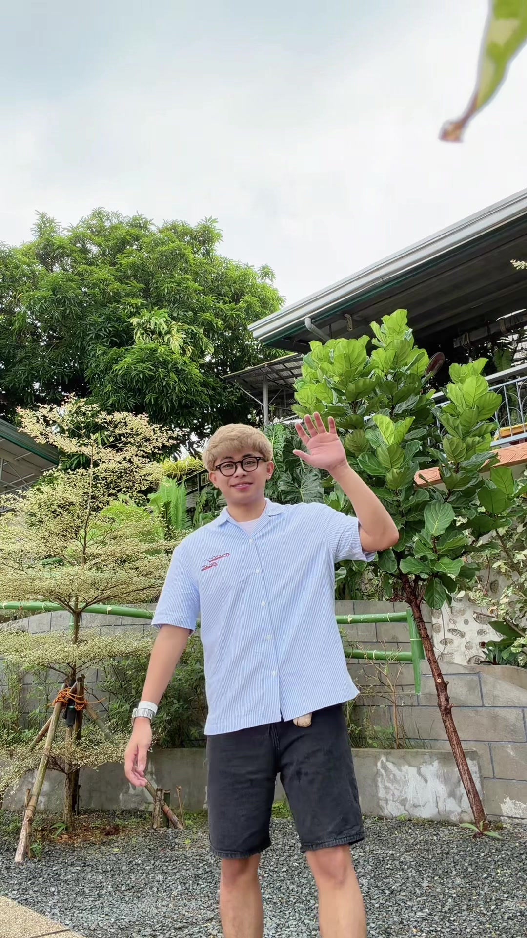 @Mark Lheeo⚕️