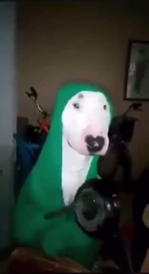 @old_sounds8