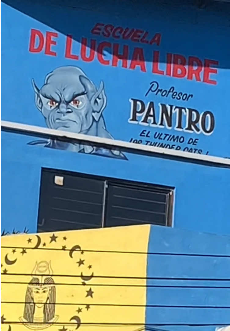 @gatito_lesplayer