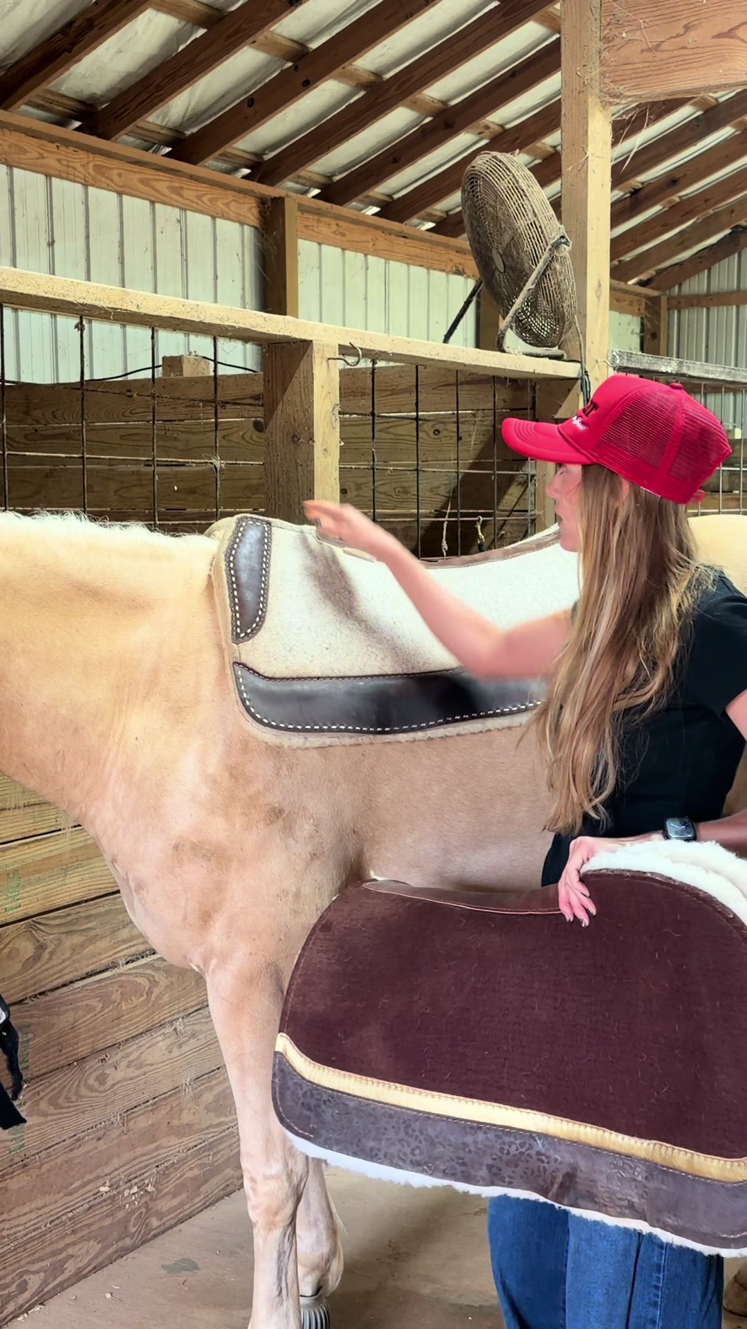 @5 Star Equine