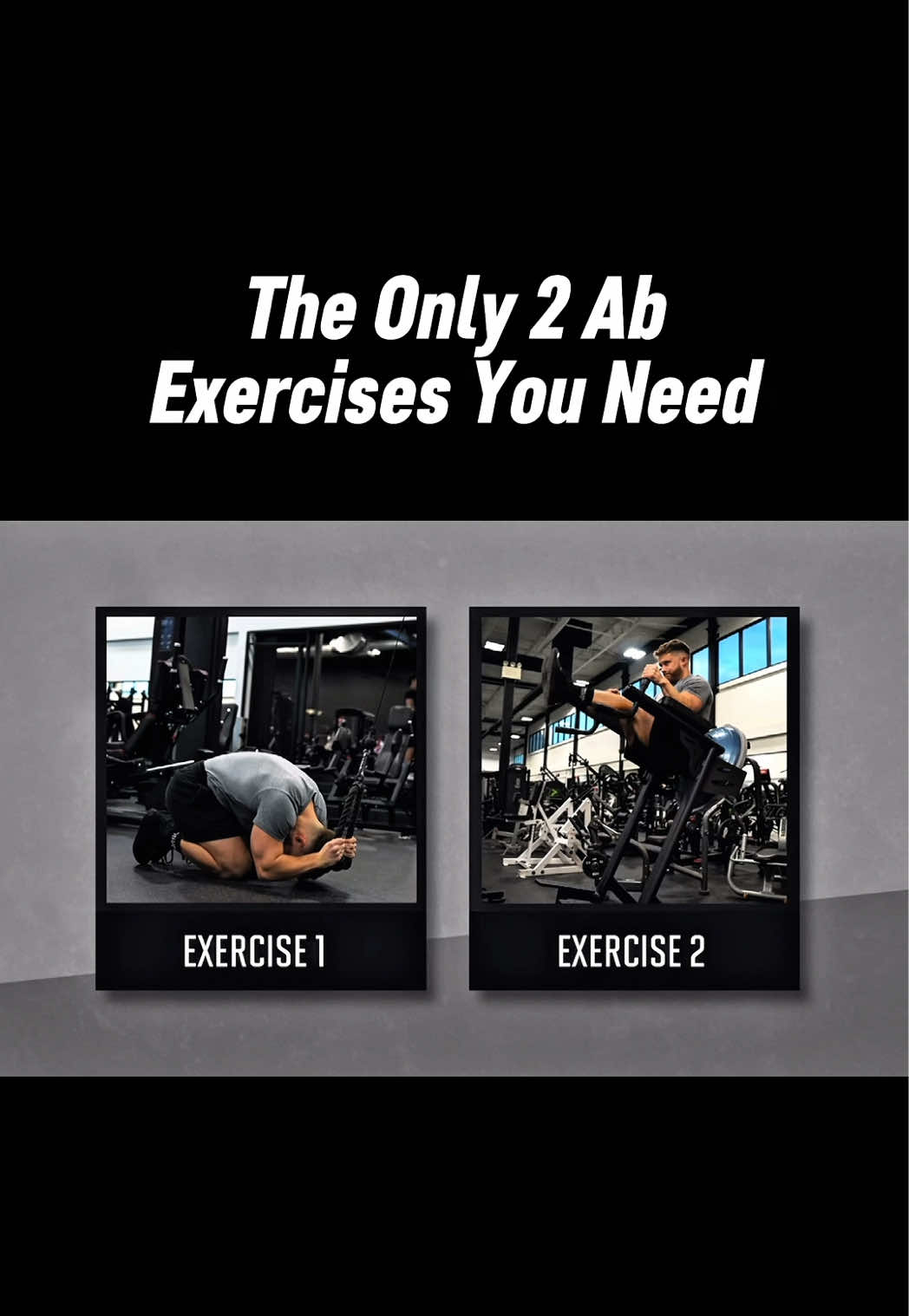 @theschoolofgains