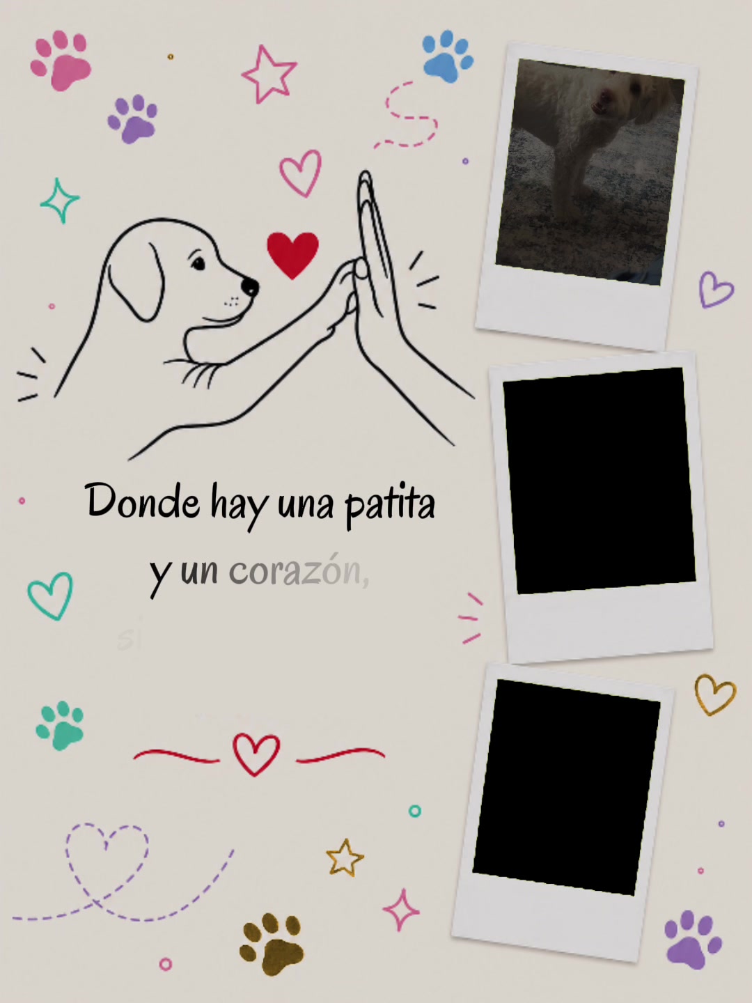 @monimau7
