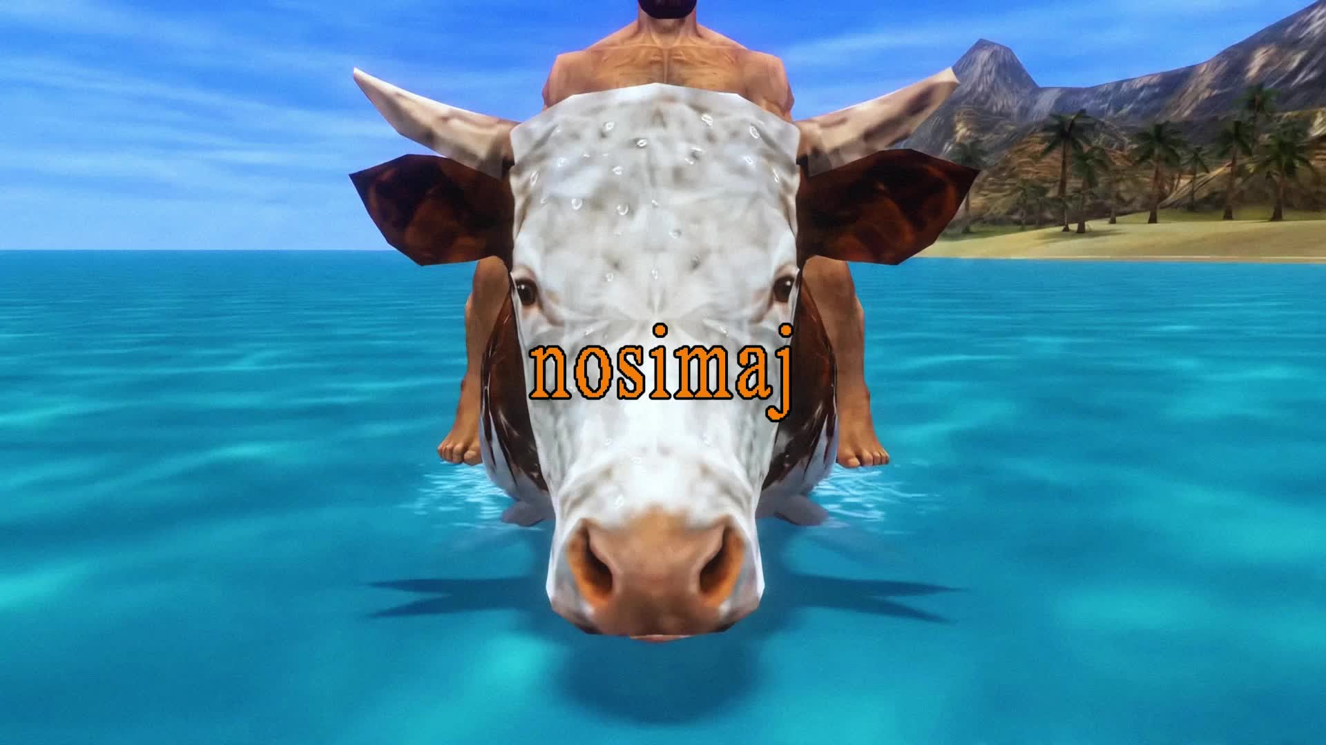 @Nosimaj Media
