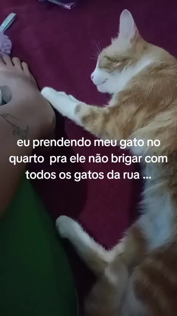@lucia415