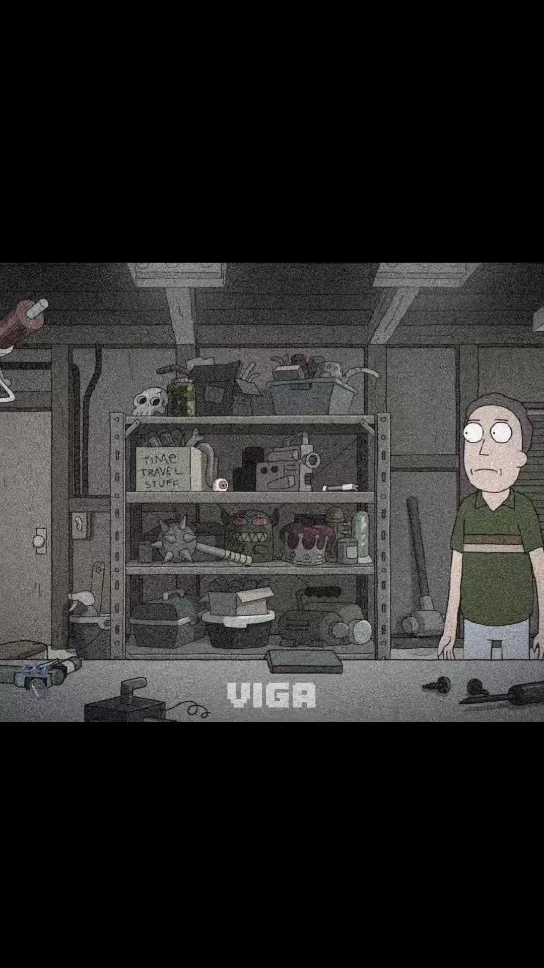 @viga