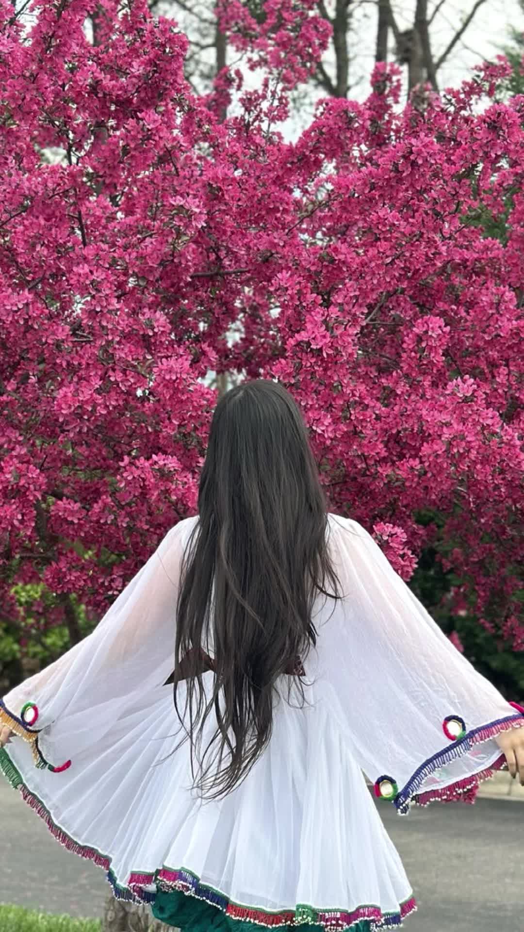 @هــــزاره_ تبـــار