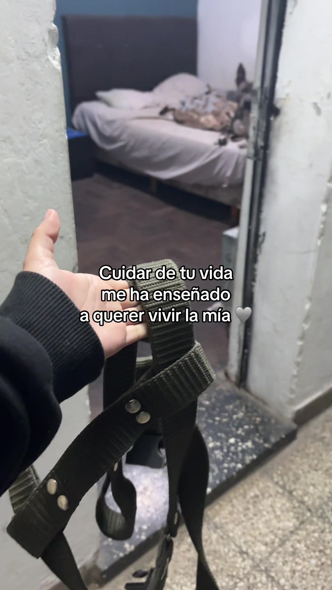 @Giulietta