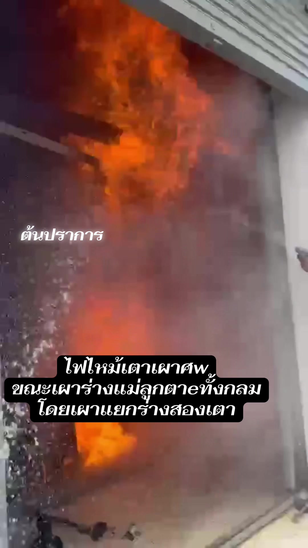 @ต้นปราการ.นิวส์
