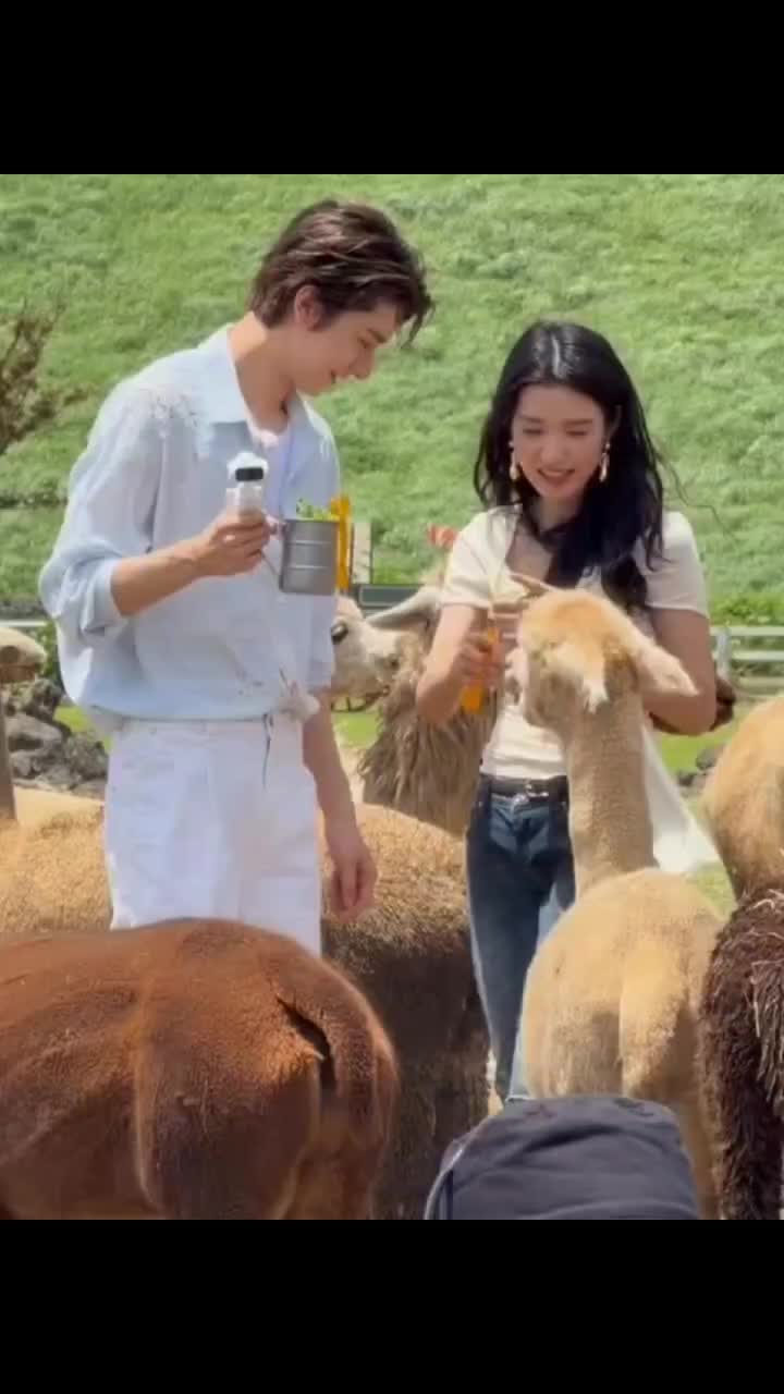 @đłđ đđđđđđ Űśŕ§