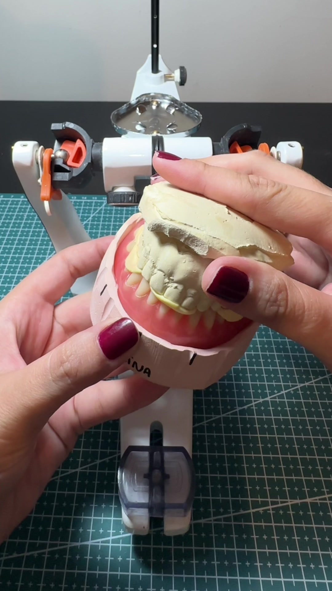 @Lab. de Prótese Dentária
