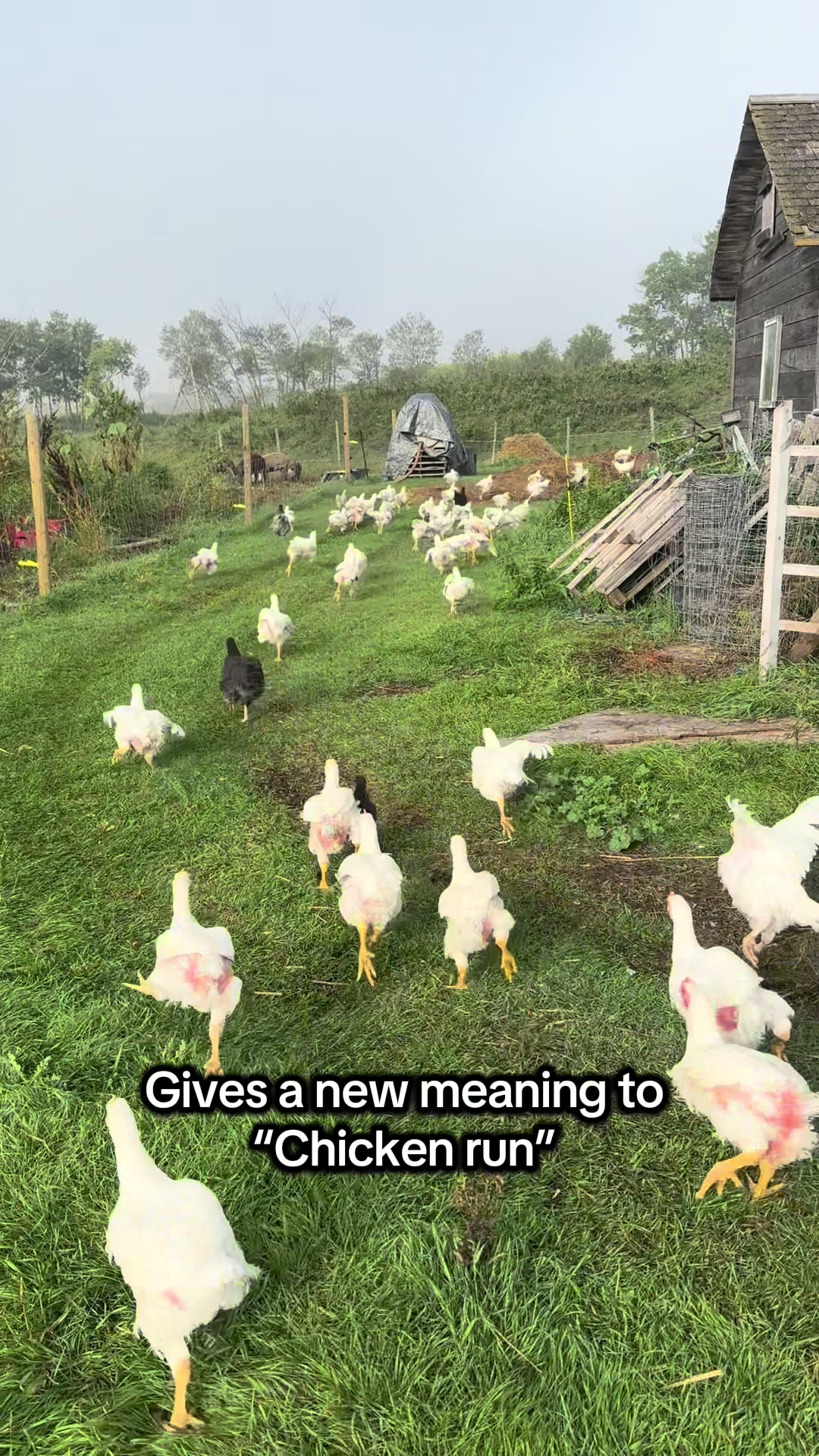 @FarmGirlRenee