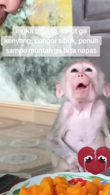@babah zikri
