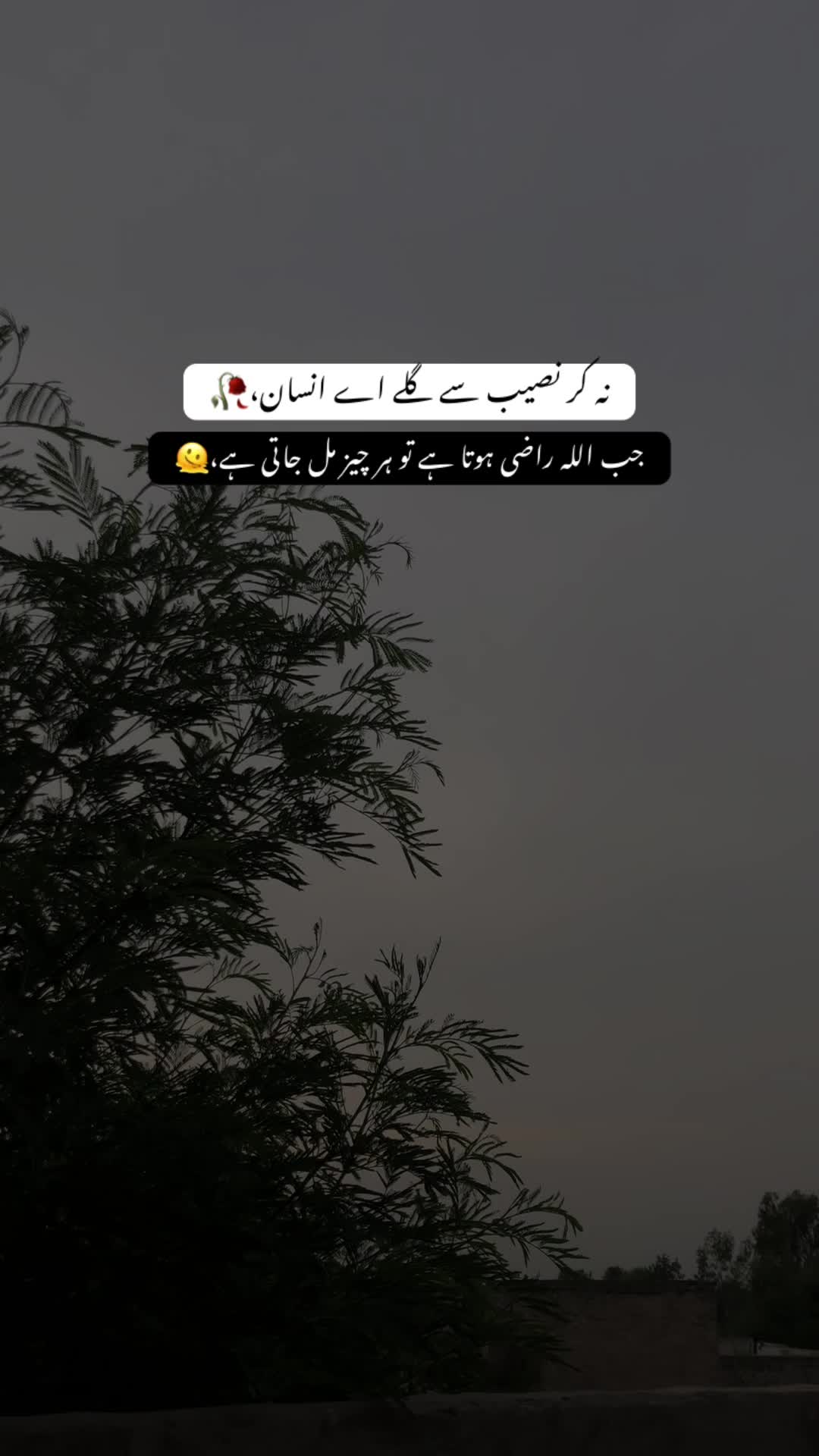 @م-🌸