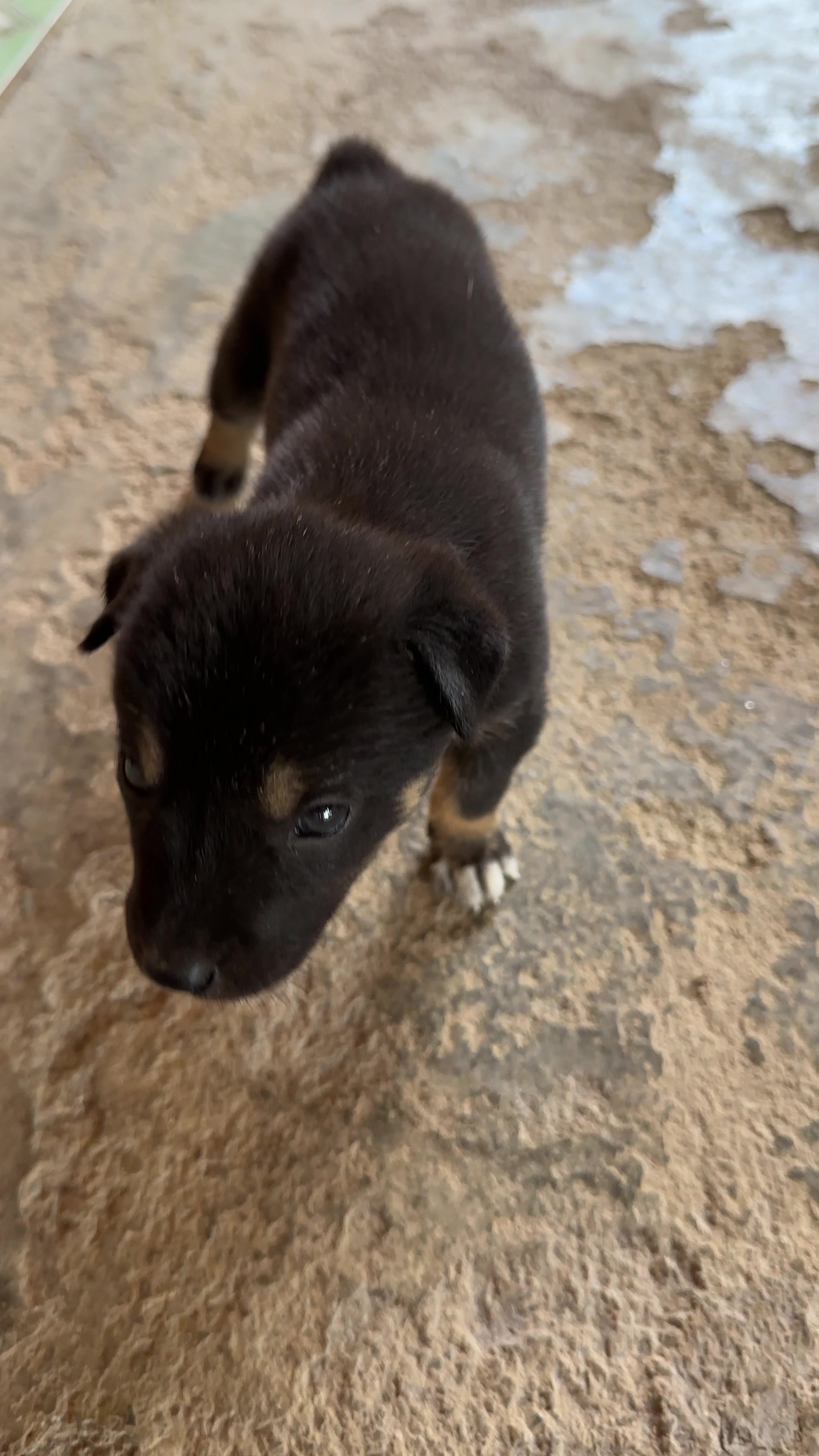 @Pet❤️🔥