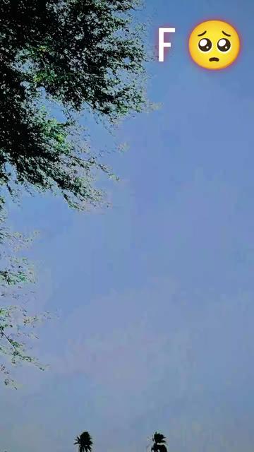 @زندہ شاکاکھکھ